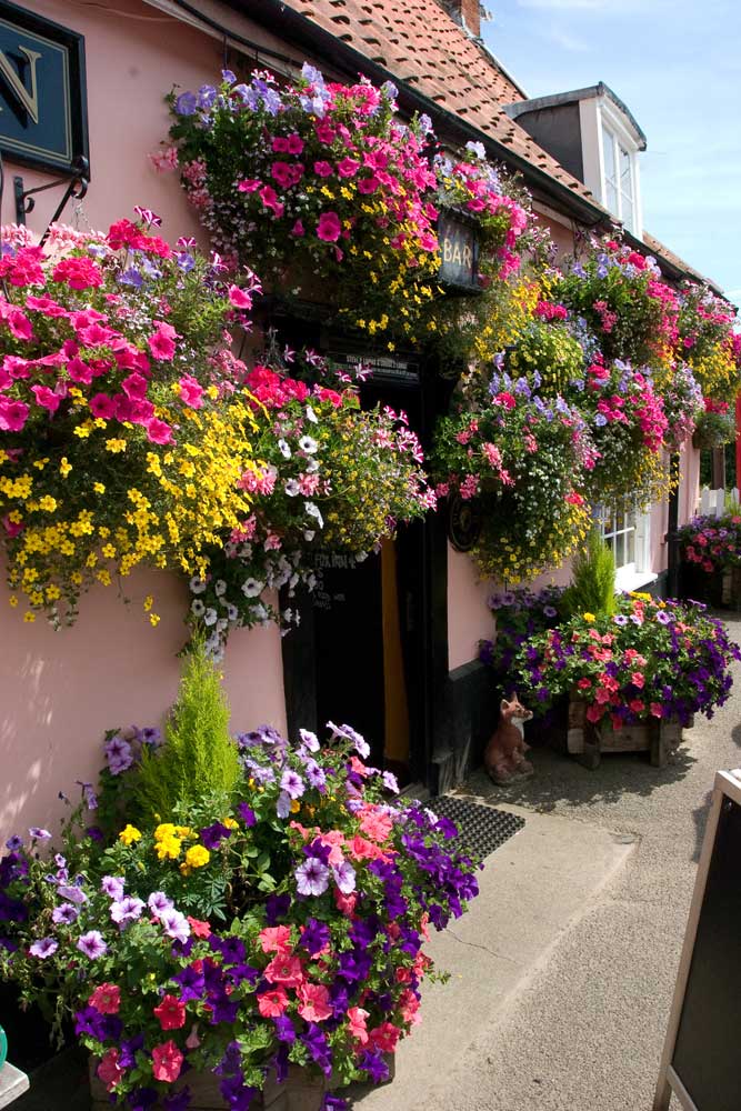 The Fox Inn