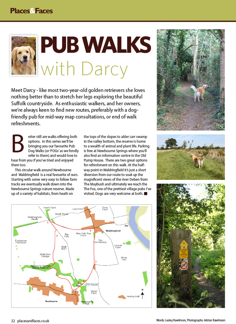 dog_walk_newbourne-1