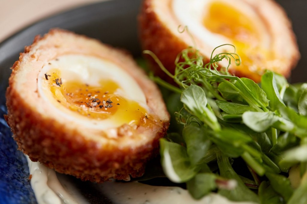 sctoch egg pub food