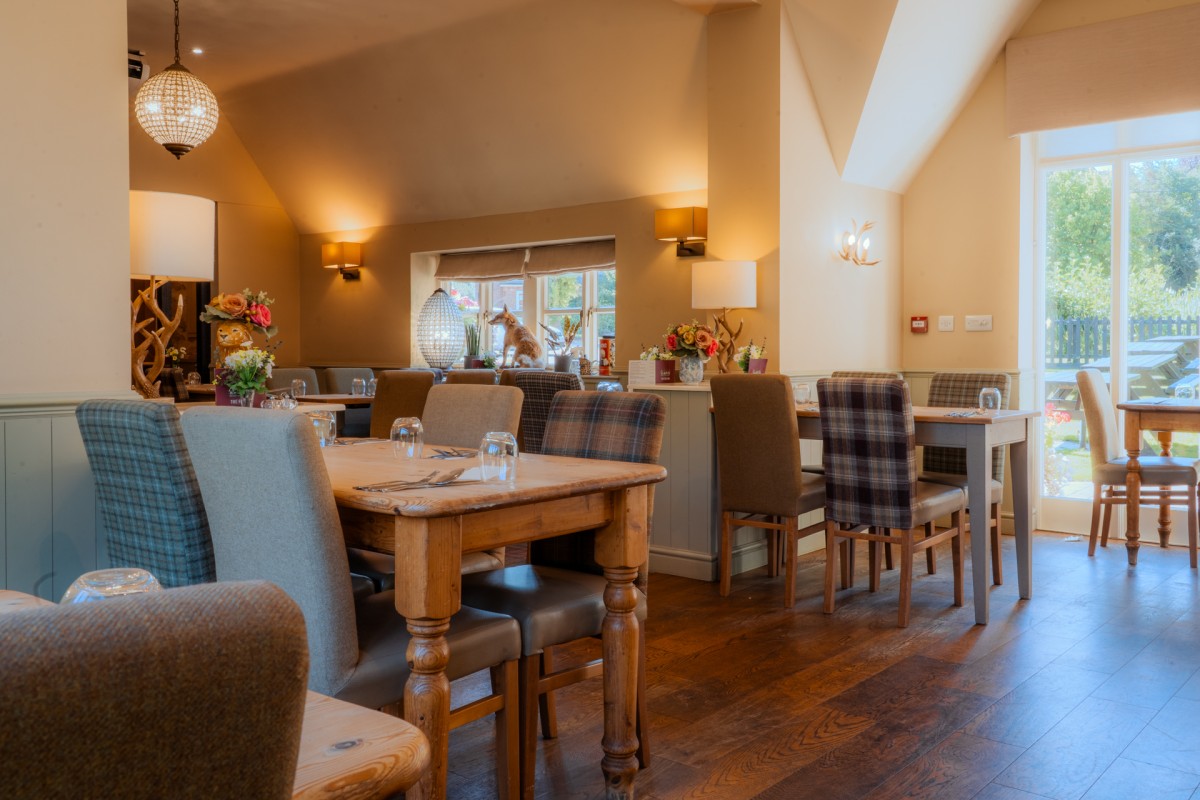 The Fox 19 Sept_Greyhound Creative-79