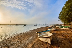 Maybush river deben
