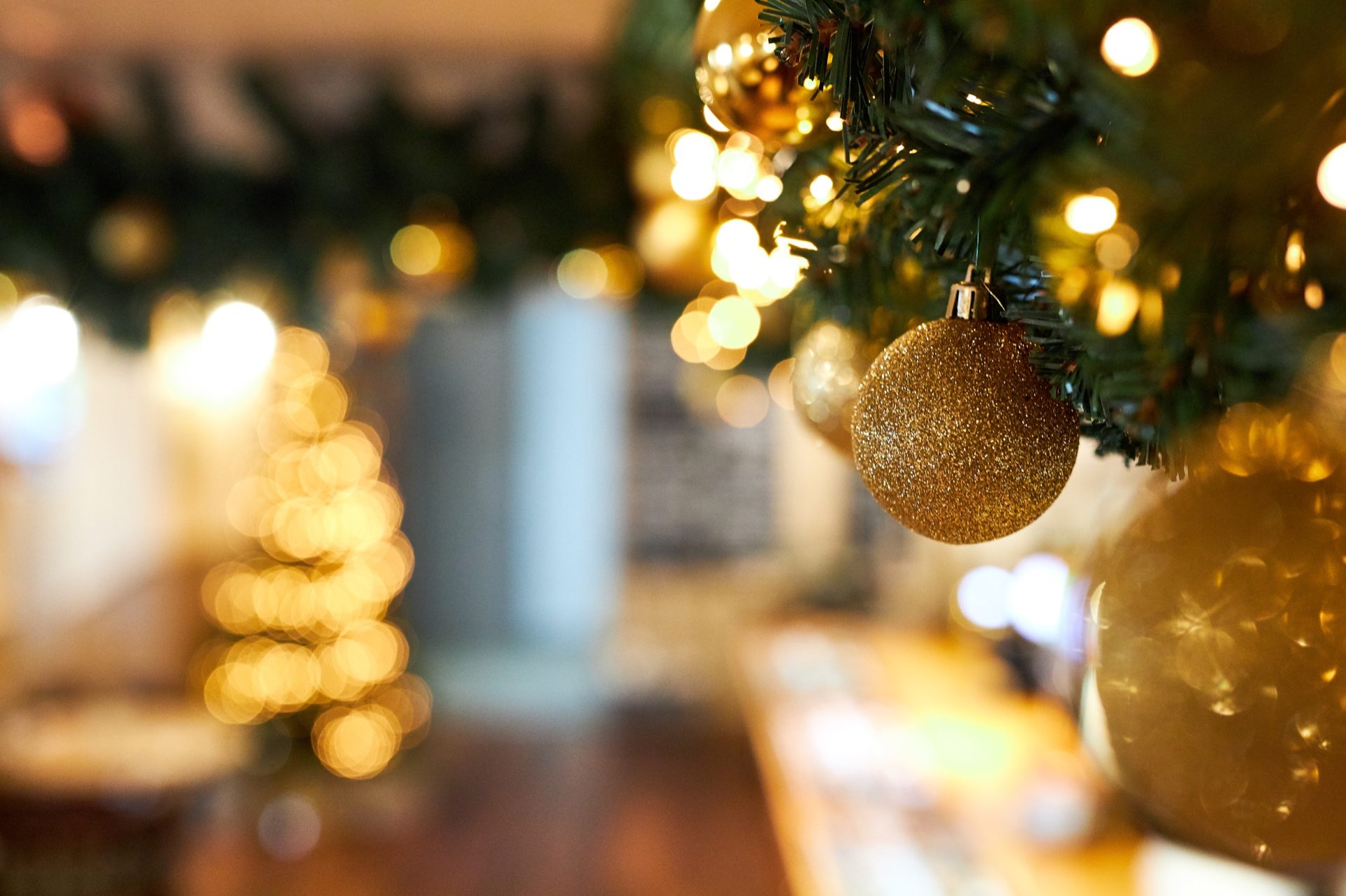 DI_Christmas_0006