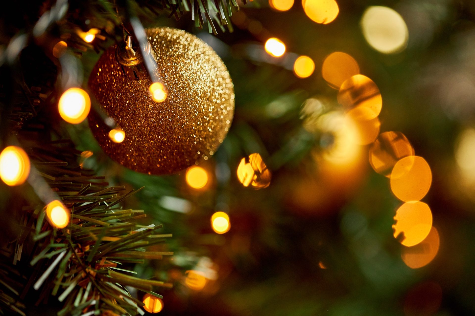 DI_Christmas_0038