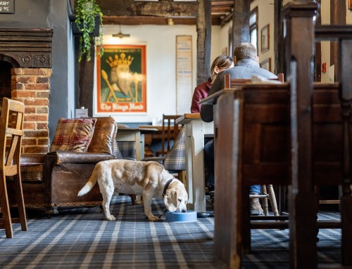 Winter Walks, Cosy Meals and Dog-Friendly Tables
